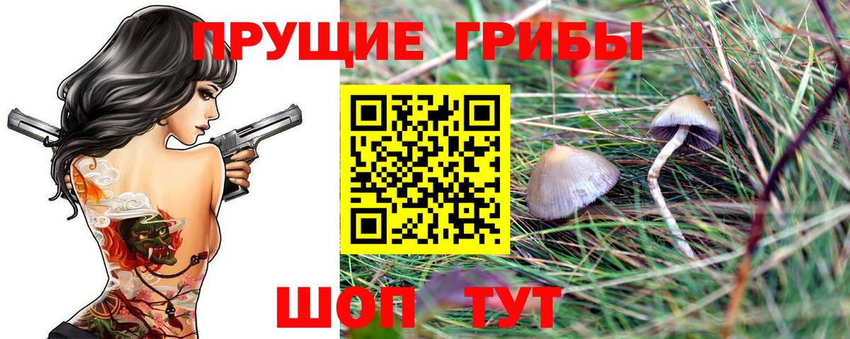 Кстово  Псилоцибиновые грибы Magic Shrooms  Вход с VPN 